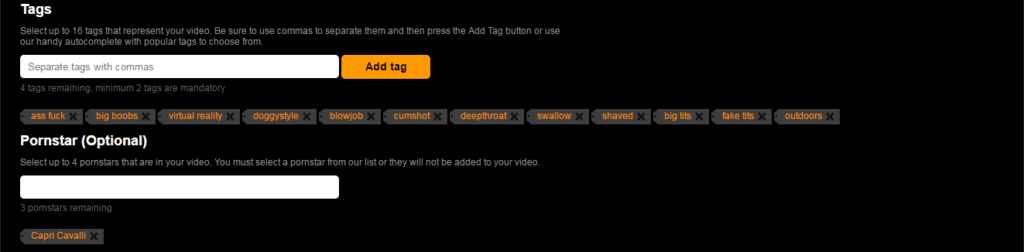 Optimizing Video Description and Tags for SEO for Promoting Your home made porn Video